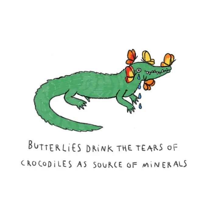 30 Delightfully Silly Animal Illustrations Drawn By This Tattoo Artist