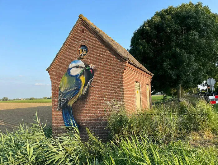 Dutch Artist Created 30 Jaw-Dropping Murals On Building Walls
