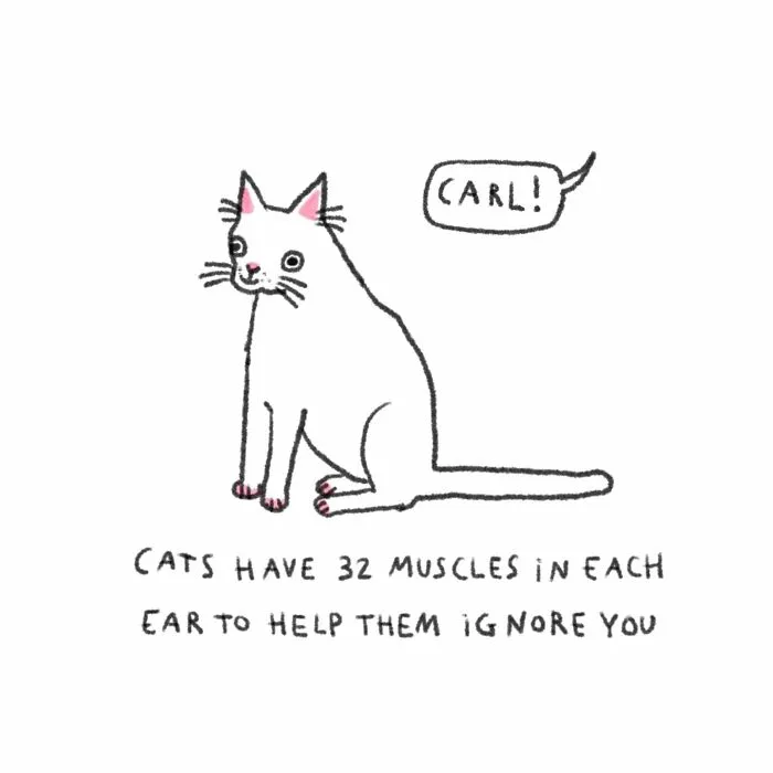 30 Delightfully Silly Animal Illustrations Drawn By This Tattoo Artist