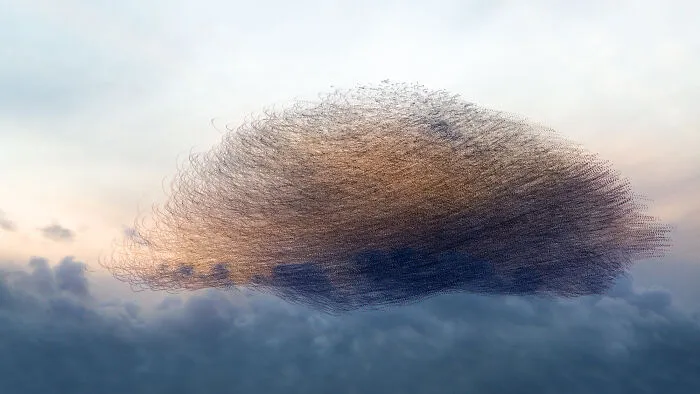 This Artist Captured 20 Mesmerizing Photos That Turn Bird Migration Into A Work Of Art