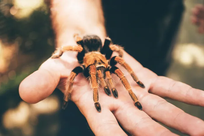 30 People Share The Strangest Rules That Were Made Specifically Because Of Them