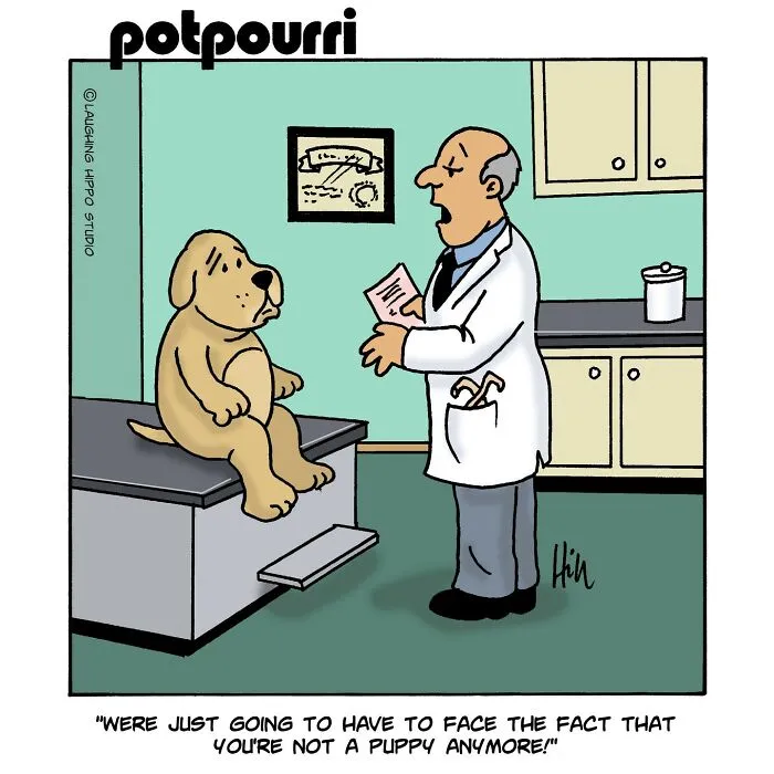 This Artist Created 30 Funny Cartoons About Dogs In Absurd Situations