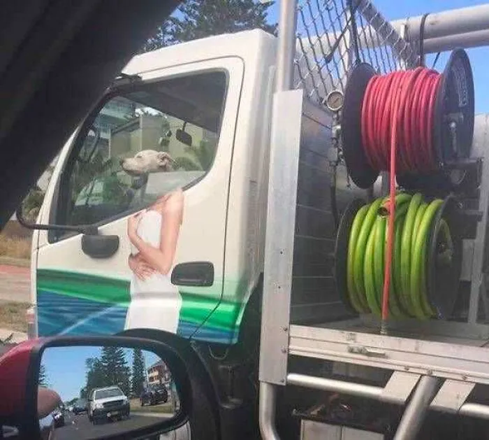Camión con imagen rara donde cabeza de perro se alinea con el cuerpo de una persona en la puerta.