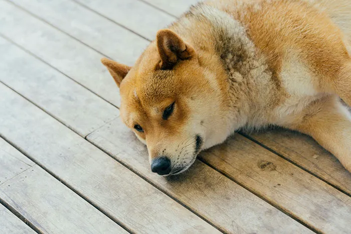 “Panic Attacks”: 30 Things People Can Never Truly Understand Until They’ve Experienced Them