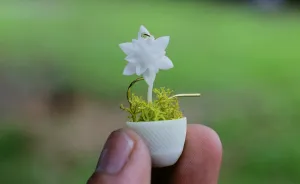 We Make Wearable Plant Holders, Here Are The Earrings (9 Pics)