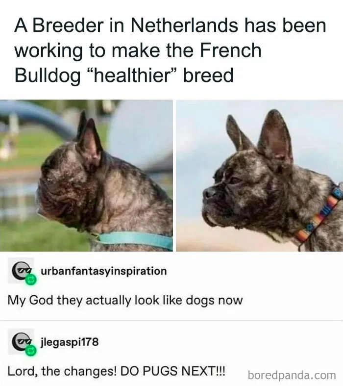 50 Of The Funniest Tumblr Posts That Deserve To Be Seen Again