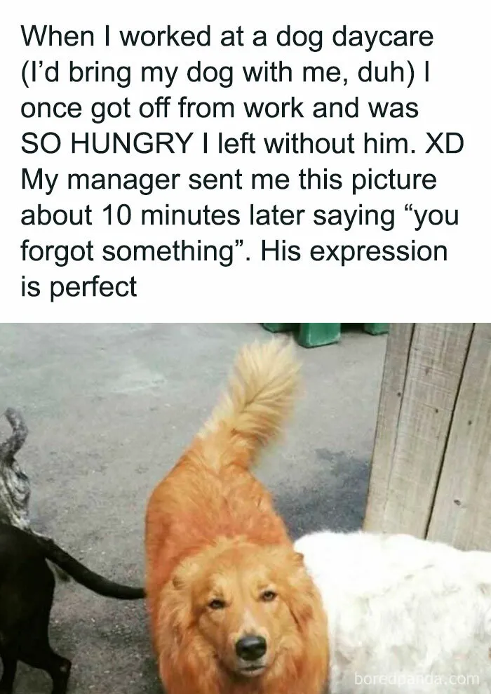 50 Of The Funniest Tumblr Posts That Deserve To Be Seen Again