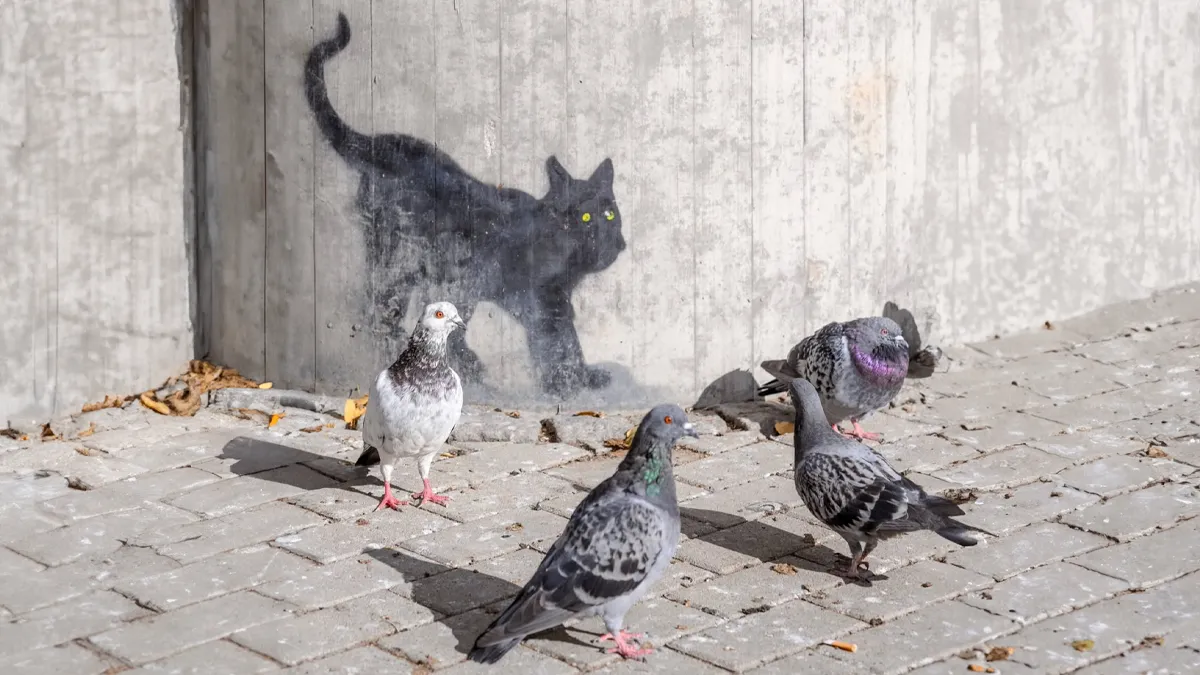 André’s 30 Captivating Street Photos Reveal The Soul Of Oslo And Stockholm