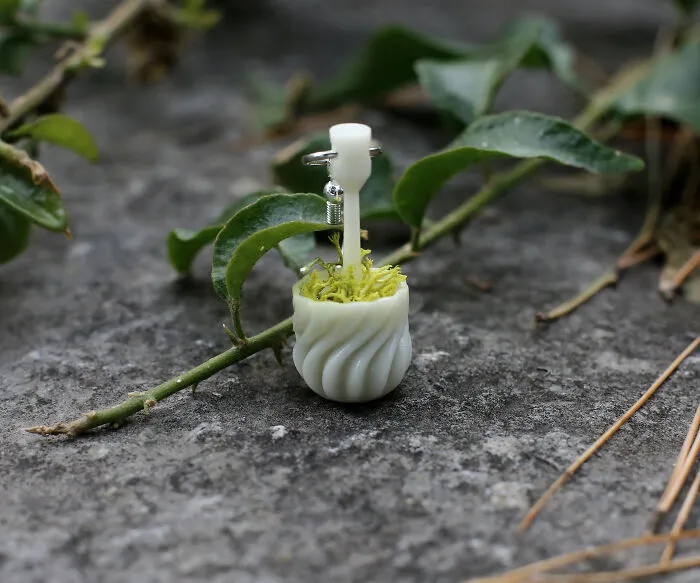 We Make Wearable Plant Holders, Here Are The Earrings (9 Pics)