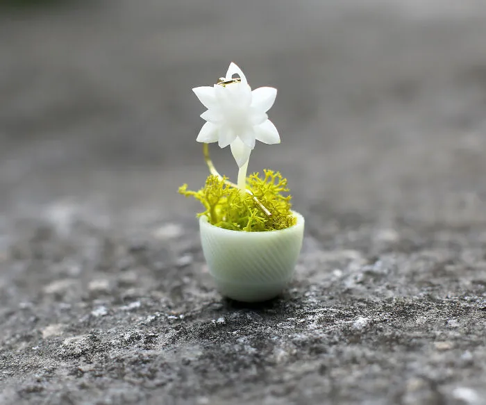 We Make Wearable Plant Holders, Here Are The Earrings (9 Pics)