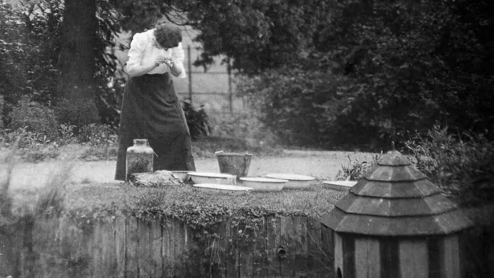 Leech Collectors