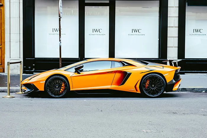 30 Things Crazy-Rich People Purchase That No One Else Would Even Think They Actually Need