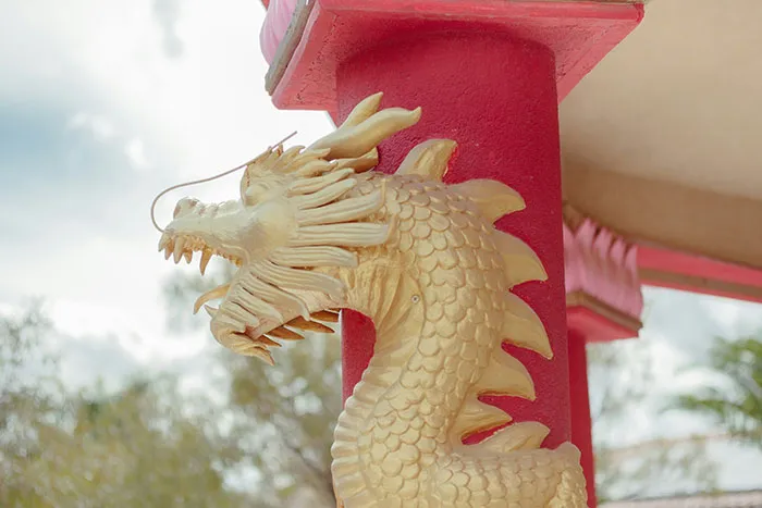 30 Things Crazy-Rich People Purchase That No One Else Would Even Think They Actually Need