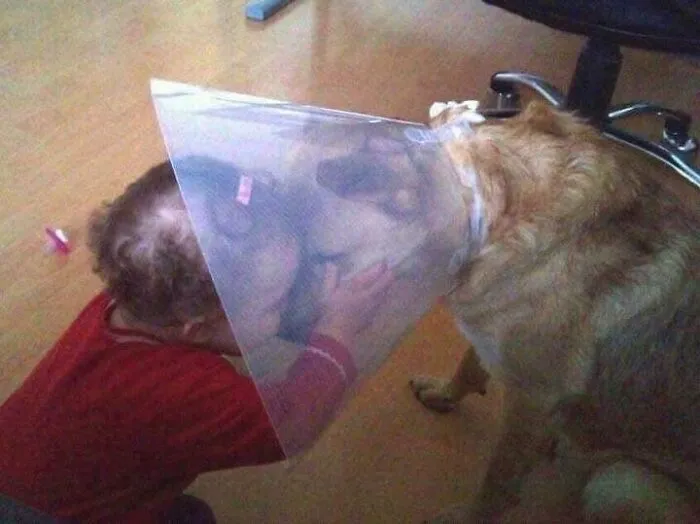 45 Fotos divertidas de animales haciendo lo que les da la gana