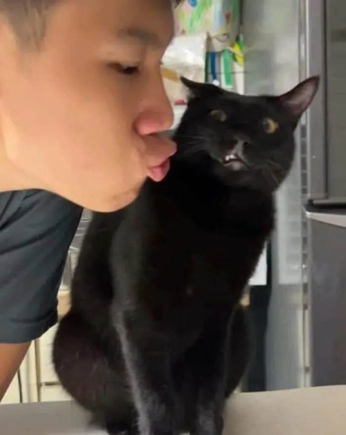Person playfully puckering lips near a surprised black cat; a wholesome animal moment.