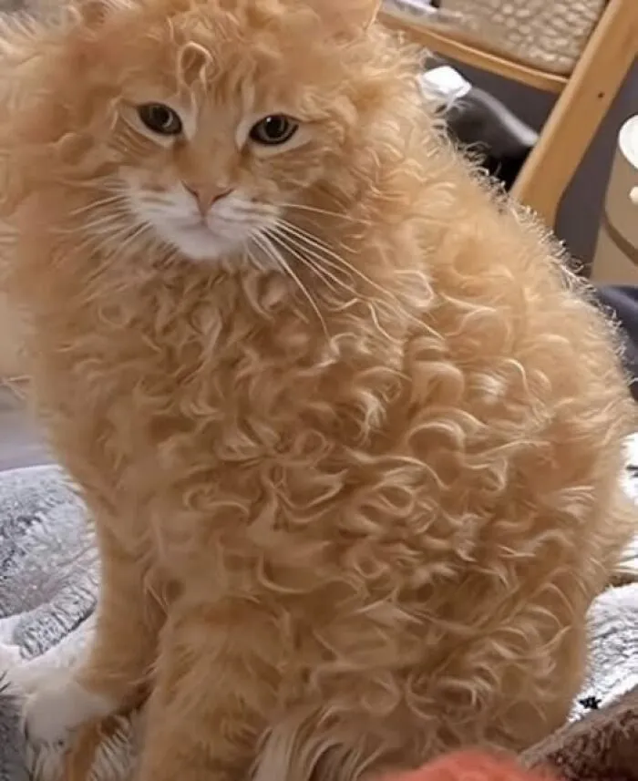50 Animal Pics That May Warm Your Heart And Give You Belly Laughs At The Same Time