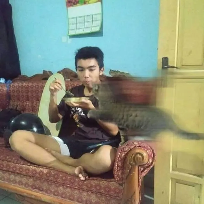 A cat swiftly leaps towards a person sitting on a couch with a bowl, capturing a wholesome animal moment.