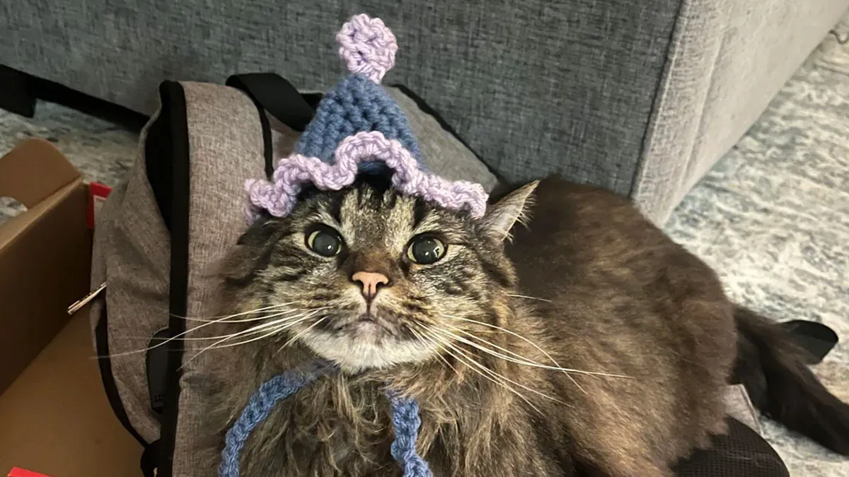 40 Times People Chose To Adopt A Pet And It Turned Out To Be The Best Decision (February Edition)