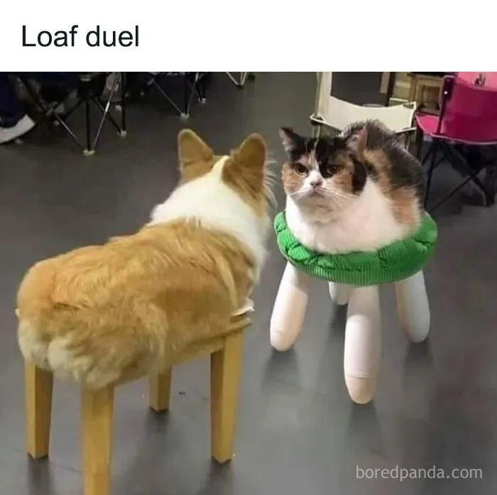 50 Uplifting Memes And Posts For That Daily Dose Of Positivity (New Pics)