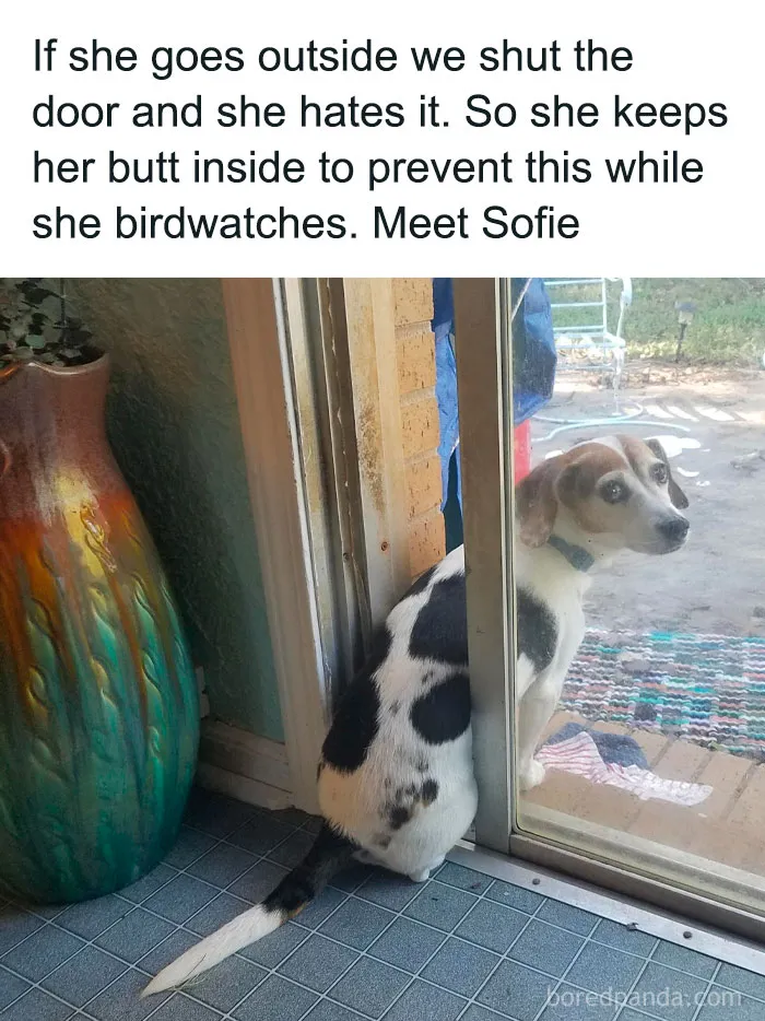 50 Uplifting Memes And Posts For That Daily Dose Of Positivity (New Pics)