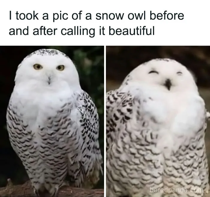 50 Uplifting Memes And Posts For That Daily Dose Of Positivity (New Pics)