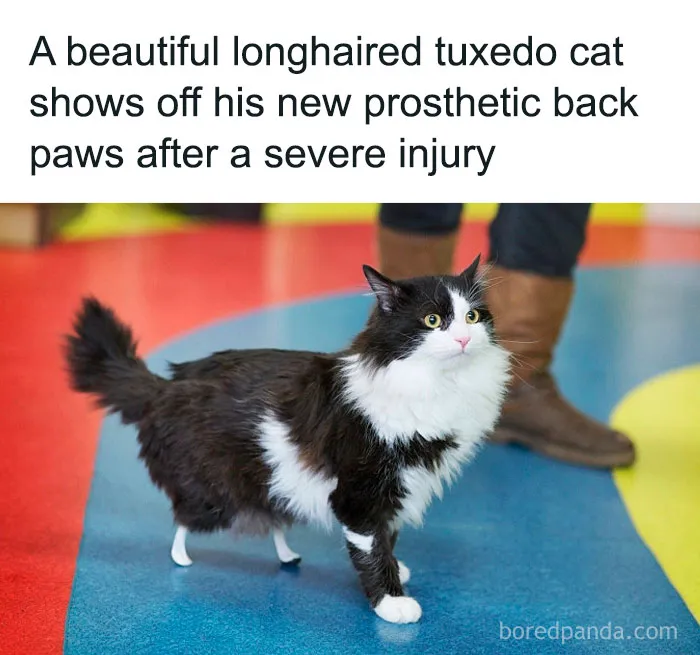 50 Uplifting Memes And Posts For That Daily Dose Of Positivity (New Pics)