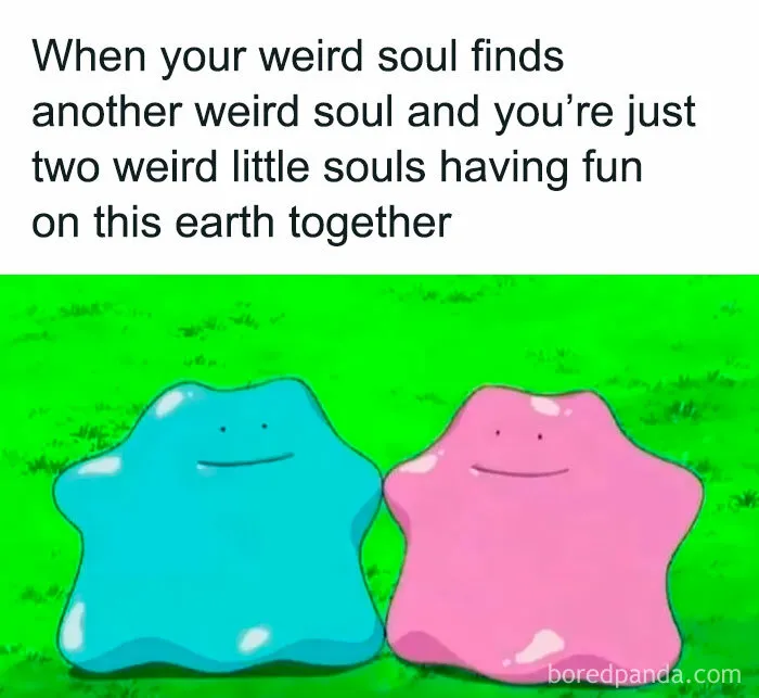 40 Memes That Everyone But Especially Women Might Enjoy