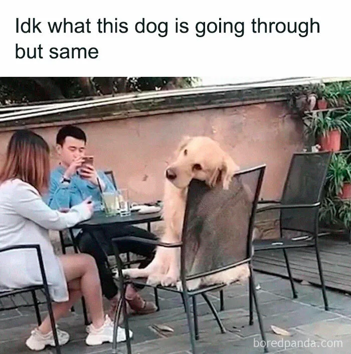 40 Memes That Everyone But Especially Women Might Enjoy