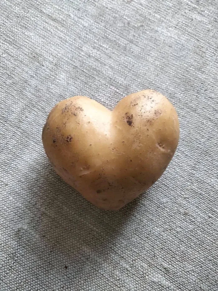 “I Bought My Wife A Microwave”: 30 Valentine’s Day Gifts That Were A Total Miss