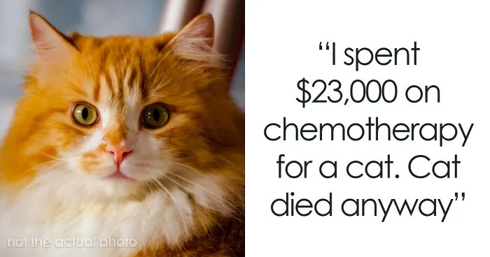 30 Nightmarish Financial Decisions That Left People Broke, Broken, And Bewildered