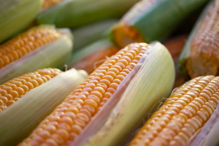 30 People Who Cook Smarter, Not Harder, Share Their Favorite Kitchen Cheats