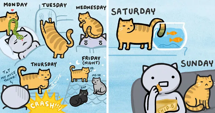Kitty Moon’s Adorable And Funny Comics About Cats Just Being Cats (30 Pics)