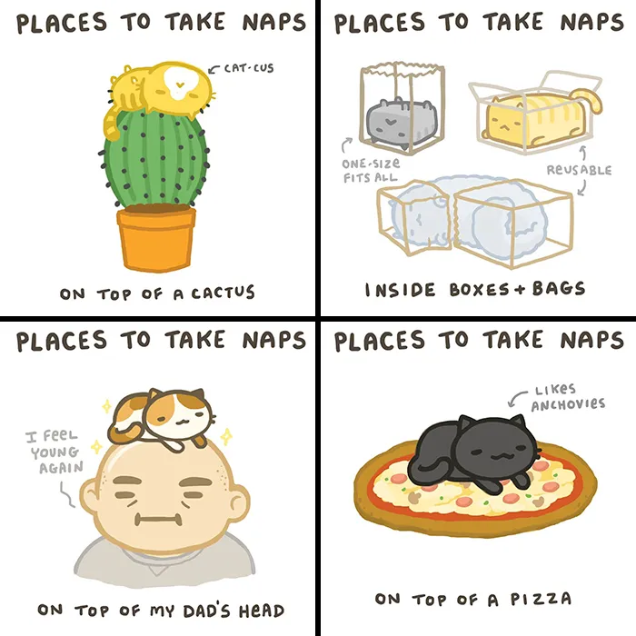 Kitty Moon’s Adorable And Funny Comics About Cats Just Being Cats (30 Pics)