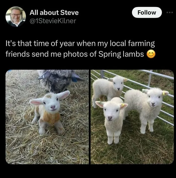 47 Tweets And Jokes Created For Your Chuckles