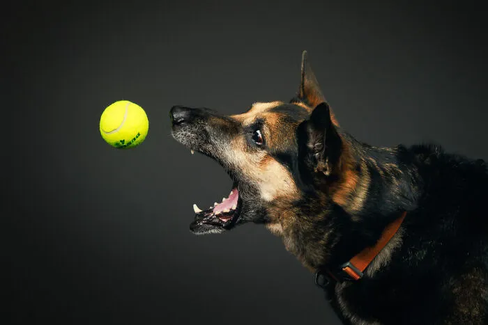 Mine!