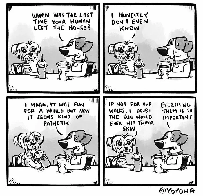 30 Satirical Comics About Everyday Incidents By Yoyoha (New Pics)