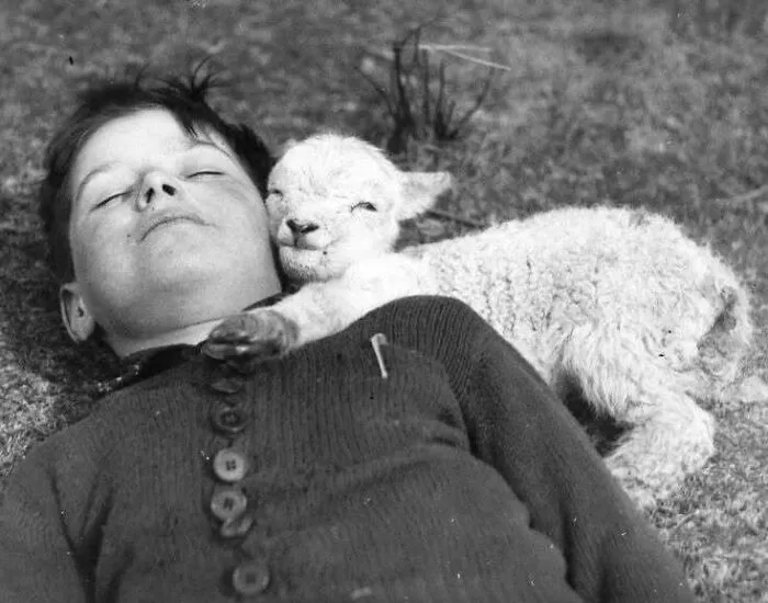 30 Pics That Are Likely To Infect You With Happiness