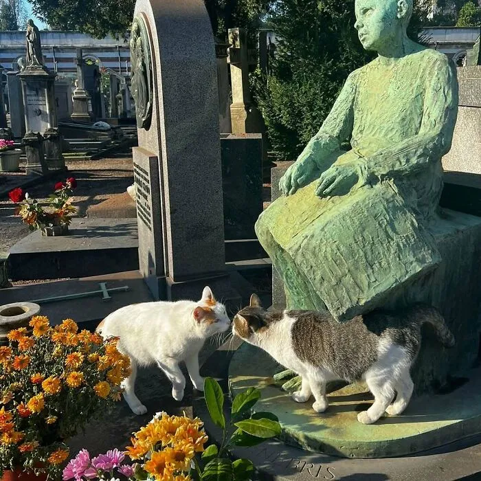 Monumental Cemetery Love