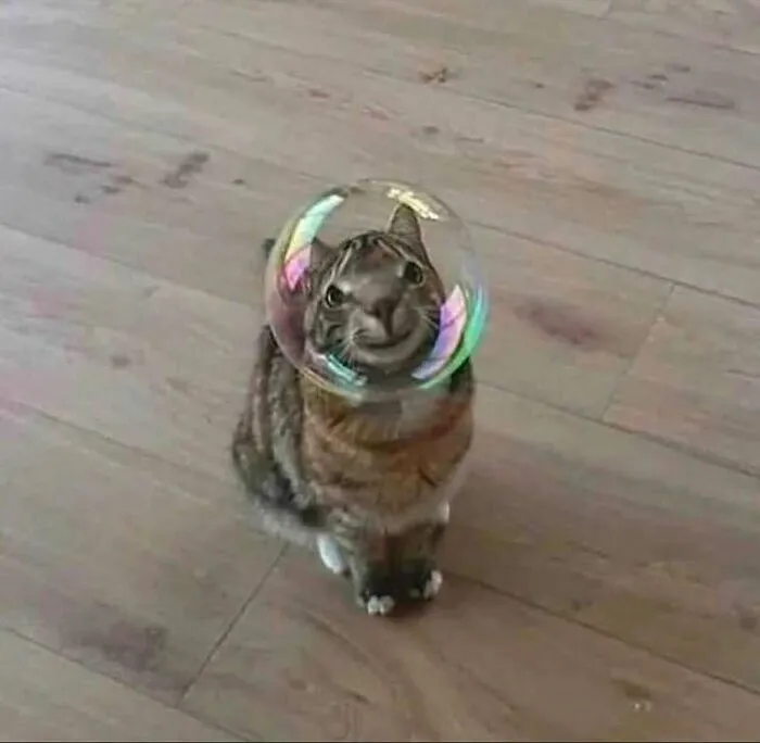 Awkward, Unhinged And Hilarious Animal Pics For Those Who Need A Break From Cuteness