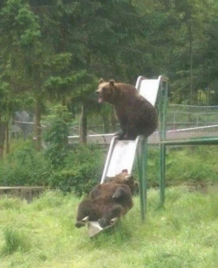 Awkward, Unhinged And Hilarious Animal Pics For Those Who Need A Break From Cuteness