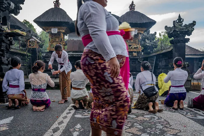 Dedicated To Their Culture, The Balinese Ladies Fulfill Their Rituals With Much Pride And Honor
