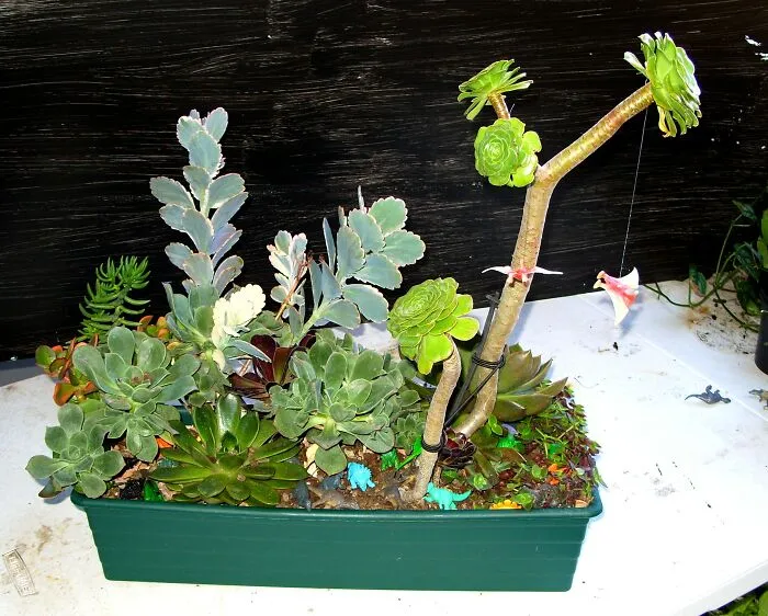 Dinorama