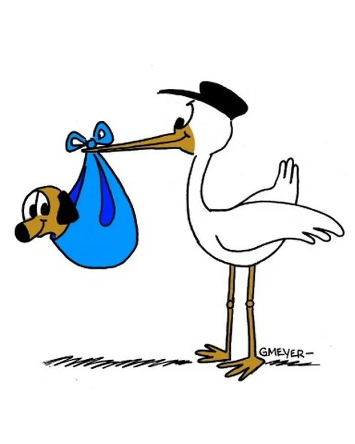 30 Comedic Dog Cartoons By GMeyer That Capture The Fun And Chaos Of Life With A Pup