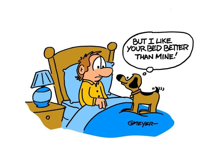 30 Comedic Dog Cartoons By GMeyer That Capture The Fun And Chaos Of Life With A Pup