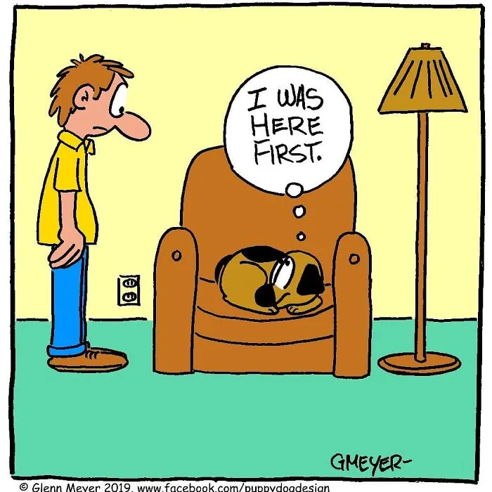 30 Comedic Dog Cartoons By GMeyer That Capture The Fun And Chaos Of Life With A Pup