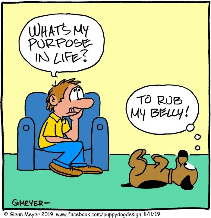 30 Comedic Dog Cartoons By GMeyer That Capture The Fun And Chaos Of Life With A Pup