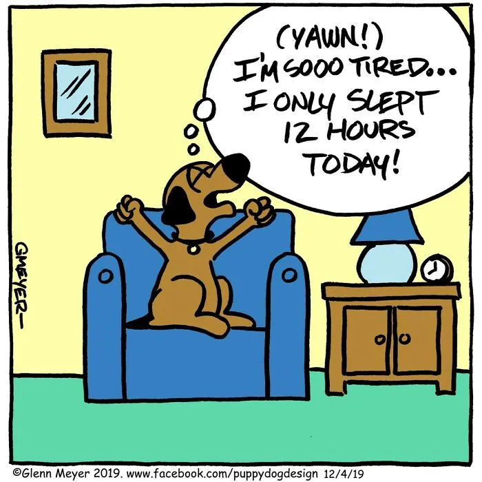 30 Comedic Dog Cartoons By GMeyer That Capture The Fun And Chaos Of Life With A Pup