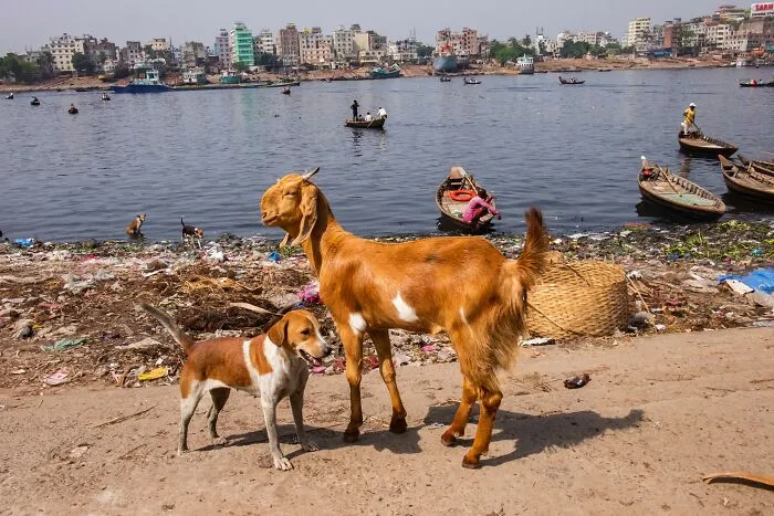 30 Unique Moments Captured By Md Enamul Kabir
