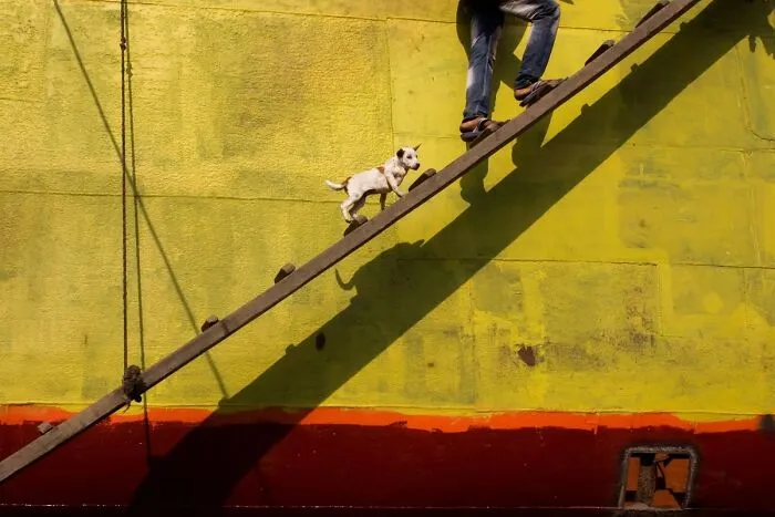 30 Unique Moments Captured By Md Enamul Kabir