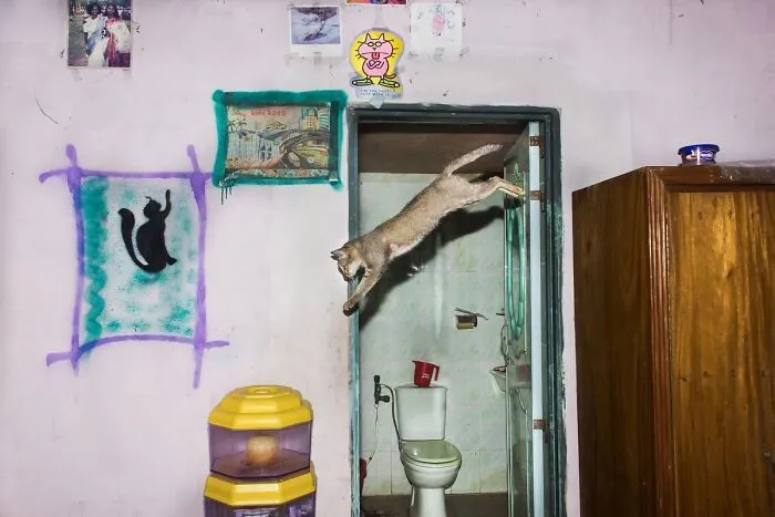 30 Unique Moments Captured By Md Enamul Kabir